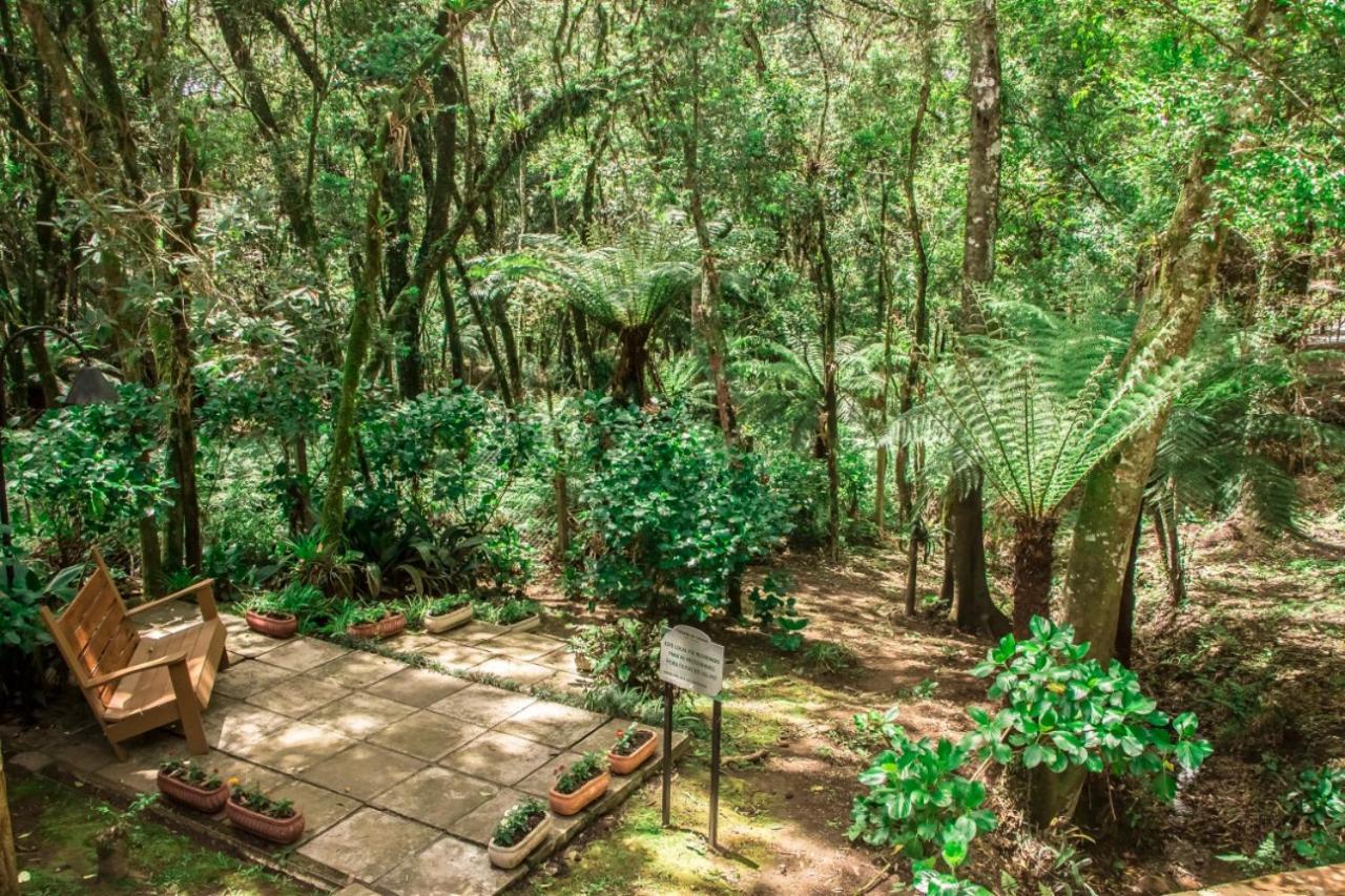 Hotel Pousada Cozumel Sierra Canela Eksteriør billede